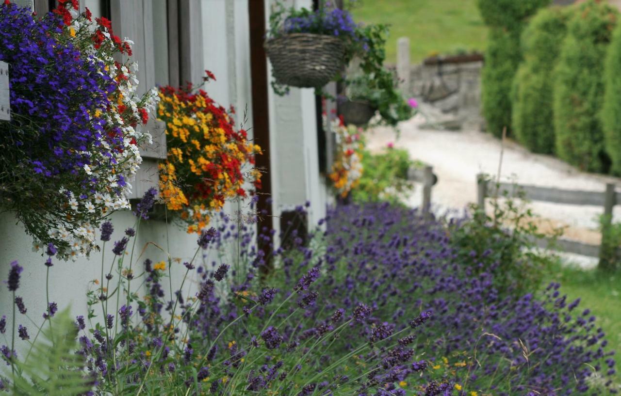 Lavendowo Hotel Piechowice  Exterior foto